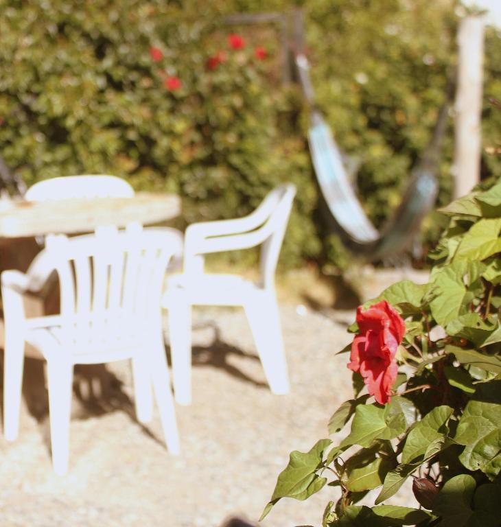 Hostel Pudu Σαν Κάρλος ντε Μπαριλότσε Εξωτερικό φωτογραφία